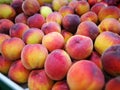 Peaches at farmers market