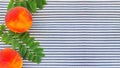 Peaches and green leaves on striped textile background. Frame, top view. Free space for your text or product Royalty Free Stock Photo