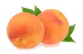 Peaches isolated on white