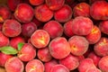 Peaches background counter Royalty Free Stock Photo