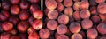 Peaches and nectarines on the counter for sale in a grocery shop. Royalty Free Stock Photo