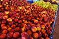 Peaches and nectarines on the counter are sold at the grocery store. Royalty Free Stock Photo