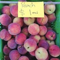 Peaches for sale $1 at farmers market Royalty Free Stock Photo