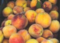Peaches for sale at a local market after harvest