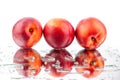 Peaches three whole in water drops on white background isolated close up Royalty Free Stock Photo