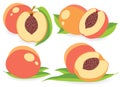 Peaches vector illustrations