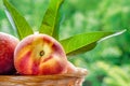 Peaches in weaved basket