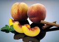 Peaches, whole and cut on a gray mirror background