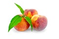 Peaches whole with green leaves Royalty Free Stock Photo