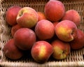 Peachs, persica vulgaris in Basket Royalty Free Stock Photo
