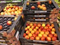 Peachs in supermarket Royalty Free Stock Photo