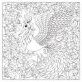 Peacock. Adult antistress coloring page.