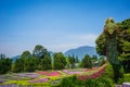 A peacock big statue made from green grass and plant with flower garden park as background - photo Royalty Free Stock Photo