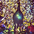 Peacock Bird Gustav Klimt Style Oil Painting Gold