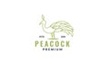 Peacock bird with leaf  illustration line logo design Royalty Free Stock Photo