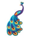 Peacock With Bright Feathers Isolated Illustration