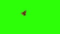 Peacock Butterfly Flying on a Green Background. Beautiful 3d animation. 4K