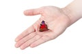 Peacock butterfly on man's hand.