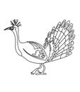 Peacock coloring page Royalty Free Stock Photo