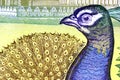 Peacock on Currency Note Royalty Free Stock Photo