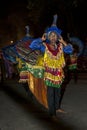 A peacock dancer prepares for the start of the Esala Perahera in Kandy, Sri Lanka.