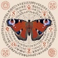 Peacock eye butterfly with old magic symbols Royalty Free Stock Photo