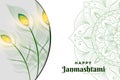 peacock feather background illustration for Janmashtami Festival