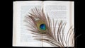 Peacock feather with book stock photo on black background