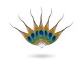 Peacock feather eye ,Feather lotus design isolated on white bac Royalty Free Stock Photo