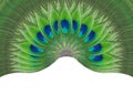 Peacock feather eye ,Feather lotus design isolated  on white background Royalty Free Stock Photo