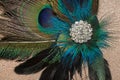 Peacock Feather Hair Clip Royalty Free Stock Photo