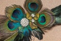 Peacock Feather Hair Clip Royalty Free Stock Photo