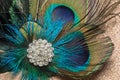 Peacock Feather Hair Clip Royalty Free Stock Photo