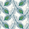 peacock feather makes a seamless pattern elegant floral background. Abstract geometric texture Royalty Free Stock Photo