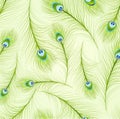 Peacock feather pattern 2 Royalty Free Stock Photo