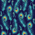 Peacock feather seamless pattern.