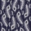Peacock feather seamless pattern.
