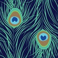 Peacock feather seamless pattern Royalty Free Stock Photo