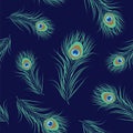 Peacock feather seamless pattern Royalty Free Stock Photo