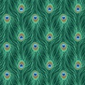 Peacock feather seamless pattern