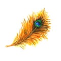 Peacock feather, watercolor Royalty Free Stock Photo