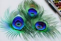 peacock feathers background by AI Generated