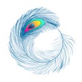 Peacock feathers, flat style. Straight and curved. Blue colored feathers of exotic birds Royalty Free Stock Photo