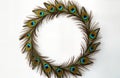 Peacock feathers form circular frame against white background. Colorful feathers create decorative border. Design suitable for