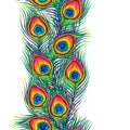 Peacock feathers seamless pattern. Royalty Free Stock Photo