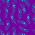Peacock feathers. Violet background. Seamless pattern