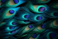 Peacock feathers in vivid macro shots, ready for your text