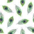 Peacock feathers watercolor seamless pattern on white. Hand drawn tropical exotic bird feather in green and blue colors Royalty Free Stock Photo