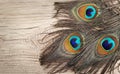 Peacock feathers on wooden board