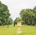 Peacock on fountain at Lakshmi Vilas palace Vadodara Gujarat India